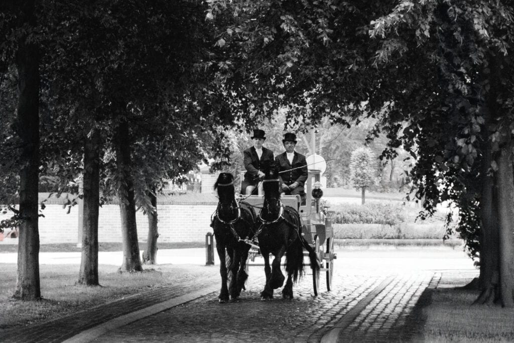 Huwelijk paard en koets in Kortenberg